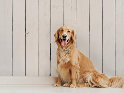 Kate 7x5ft White Wood Shiplap Photography Backdrop Vintage White Wood Photo Background Photo Studio Props - size: 7x5ft