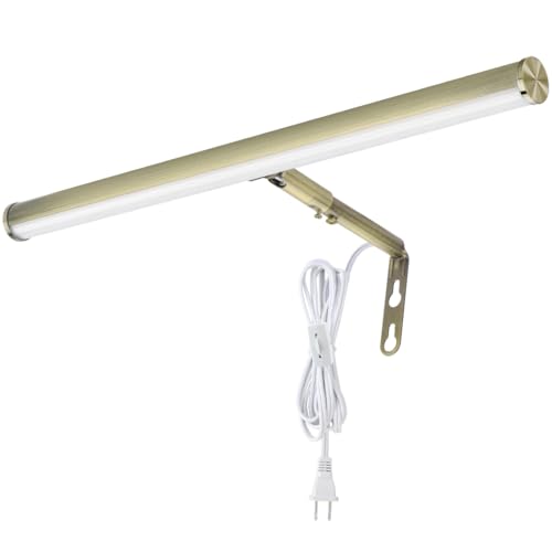 LED Picture Lights for Paintings Plug in, 16inch 6W Adjustable Art Light Gallery Wall Light for Display Art Work, Antique Brass Finish, CRI90+, 3000K Warm White - color: Antique Brass, size: 16 inch