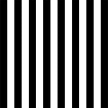 AOFOTO 5x5ft Black and White Striped Photography Backdrop Streak Textured Background Adult Elder Girl Boy Birthday Party Decoration Vinyl Wallpaper Portrait Photo Studio Props Baby Shower Banner - size: 5x5ft