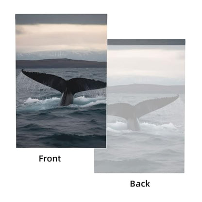 Humpback Whale Tail Ocean Backdrop Background for Photography 5x7ft Photobooth Professional Photo Backdrop Curtains Video Photography Studio Photo Backgrounds Banner Booth Background Screen Parties - color: Humpback Whale Tail Ocean