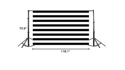 AOFOTO 10x6ft Black and White Striped Photography Backdrop Streak Textured Background Birthday Party Decoration Photo Studio Props Baby Shower Banner Adult Elder Girl Boy Wallpaper - size: 10x6ft