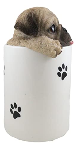 Ebros Gift Ceramic Hungry Pug Dog With Tongue Out Hiding and Peeking Dry Storage Jar With Paw Prints 6" Tall Decorative Earthenware Accessory Figurine As Decor of Pets Dogs Pugs