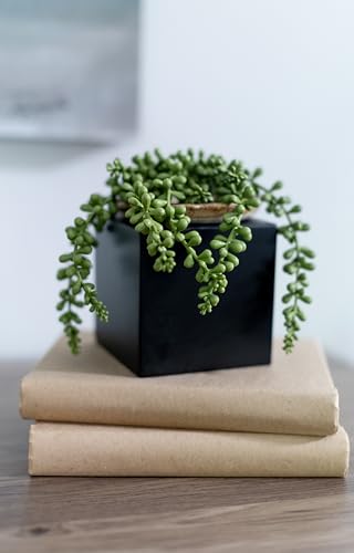 Sustainable Things Wooden Cubes – 4-inch Wood Cubes for Crafts – Wood Cube Blocks for Decor, DIY Projects, Ornaments – Blocks for Arts and Crafts, Plant Stand, Riser – Black