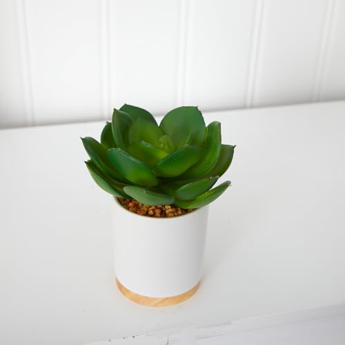 Nearly Natural 6in. Succulent Artificial Plant in White Ceramic Planter