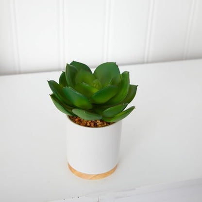 Nearly Natural 6in. Succulent Artificial Plant in White Ceramic Planter