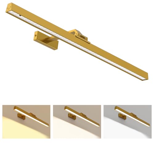 Afyuol Picture Lights for Wall, Battery Operated Picture Light 24in Gallery Light for Paintings CCT Dimmable Recharging Battery Wall Light with Remote Control for Living Room Gallery Dartboard - color: Gold, size: 1PC24inches
