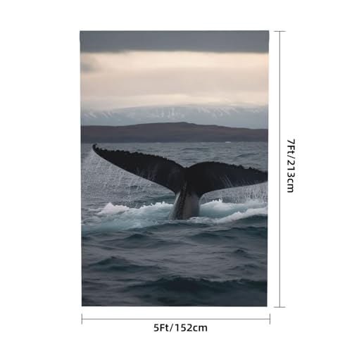 Humpback Whale Tail Ocean Backdrop Background for Photography 5x7ft Photobooth Professional Photo Backdrop Curtains Video Photography Studio Photo Backgrounds Banner Booth Background Screen Parties - color: Humpback Whale Tail Ocean