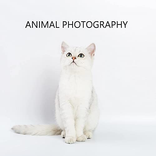 Meking Photography PVC Backdrop 31x59 inches (80x150cm) White Matte & Reflective PVC Background for Studio Video Product Commercial Ads Live Streaming Shooting - color: Matte & Reflective White