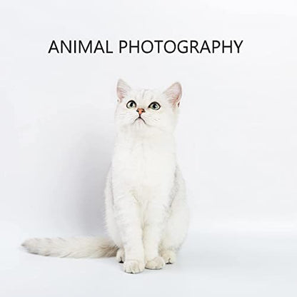 Meking Photography PVC Backdrop 31x59 inches (80x150cm) White Matte & Reflective PVC Background for Studio Video Product Commercial Ads Live Streaming Shooting - color: Matte & Reflective White