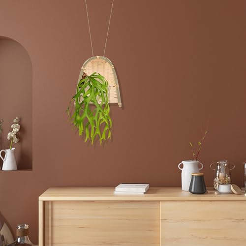 Handwoven Dustpan Handicraft Decorative Wall Hanging Rustic Artwork DIY Home Décor Accent for Living Room and Photography Props