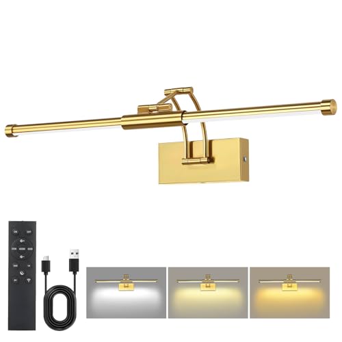 24“ Picture Lights for Wall, 8000mAh Rechargeable Wireless Picture Light with Remote, LED Wall Lights 3000K/4000K/6000K Dimmable, Art Lighting for Paintings Frame Gallery Dartboard, Brass - color: Gold, size: 24 inch