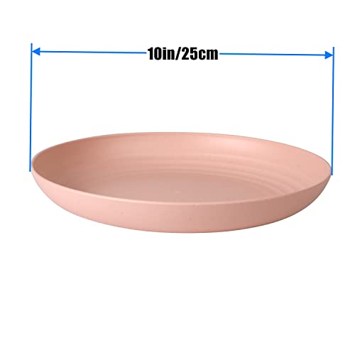 CAMBUY Wheat Straw Plates Lightweight Unbreakable Dinner Dishes Plates Set Dishwasher & Microwave Safe (Extra Large 8 Pack 10') - color: Extra Large Double Multicolour