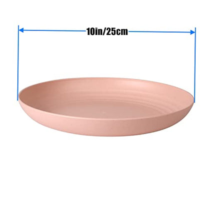 CAMBUY Wheat Straw Plates Lightweight Unbreakable Dinner Dishes Plates Set Dishwasher & Microwave Safe (Extra Large 4 Pack 10') - color: Extra Large Multicolour
