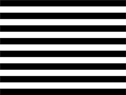 AOFOTO 10x8ft Black and White Striped Photography Backdrop Streak Texture Stripes Background for Photos at Wedding Birthday Party Kid Bride Adult Photo Studio Props Baby Shower Banner Decoration Vinyl - size: 10x8ft
