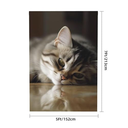 Sleeping Cat Backdrop Background for Photography 5x7ft Photobooth Professional Photo Backdrop Curtains Video Photography Studio Photo Backgrounds Banner Booth Background Screen Parties - color: Sleeping Cat