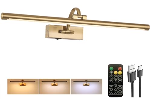 Tassuowell Picture Light Battery Operated with Remote, 3CCT Dimmable Picture Light for Paintings, Brass Rechargeable 24 inch Battery Operated Wall Sconce for Art Lighting Gallery Portrait Artwork - color: Brass, size: 23.6inch