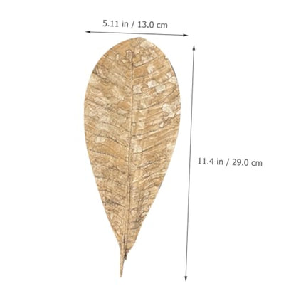 COLLBATH Dried Leaf Sushi Tray Decor 20Pcs Seafood Display Serving Plate Unique Sashimi Background Leaf Embellishments for Food Photography for Restaurants and BBQ