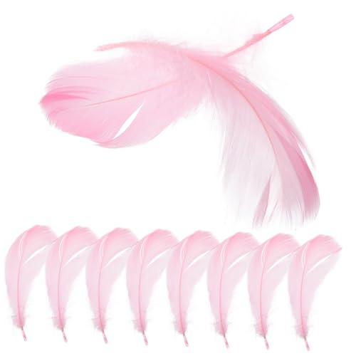 LALAFINA 15pcs Unique Plume Decorations Decorative Plume Props for Vanity Table Photo Displays for Home Decor Cosmetics Showcases