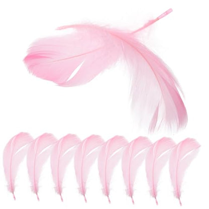 LALAFINA 15pcs Unique Plume Decorations Decorative Plume Props for Vanity Table Photo Displays for Home Decor Cosmetics Showcases