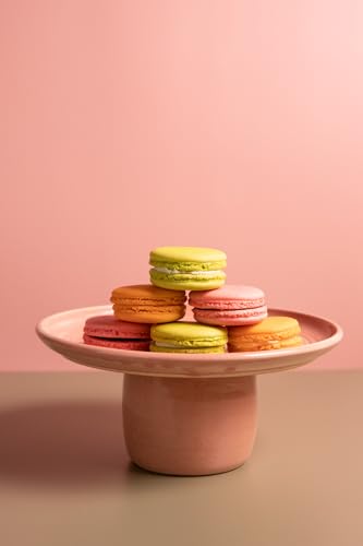 Bessie Bakes Blossom Solid Color Roll-Up 2 Feet x 3 Feet Photography Backdrops 4 Pack - color: Poppy, Camellia, Cactus Flower, Moss