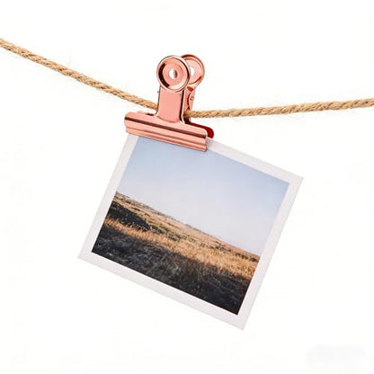 20 Pack 2 Inch Polished Steel Clips, Metal Bulldog Binder Clips, Large Hinge Paper Clips Clamps for Food Bags, Pictures Photos, Art Crafts, Home Office Supply (Rose Gold) - color: Rose Gold