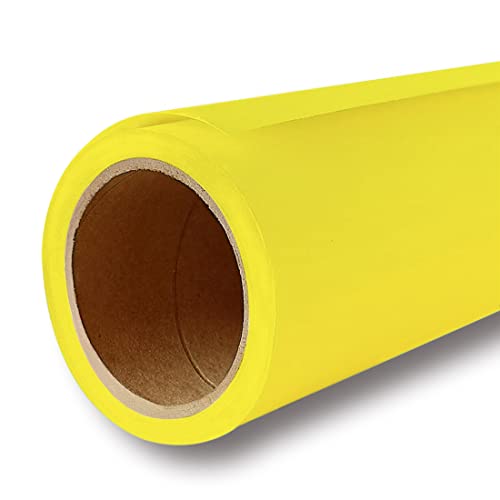 Seamless Photography Photo Backdrop Background Paper Roll for Photoshoot 53 inches Wide x 16 feet Long, Aspen - color: Aspen, size: 53"x16'