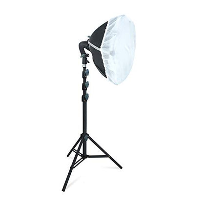 LINCO Lincostore Studio Round Lighting LED Bulb 15 inch Portrait Light Modern Style with Diffuser (Single Light) AM264