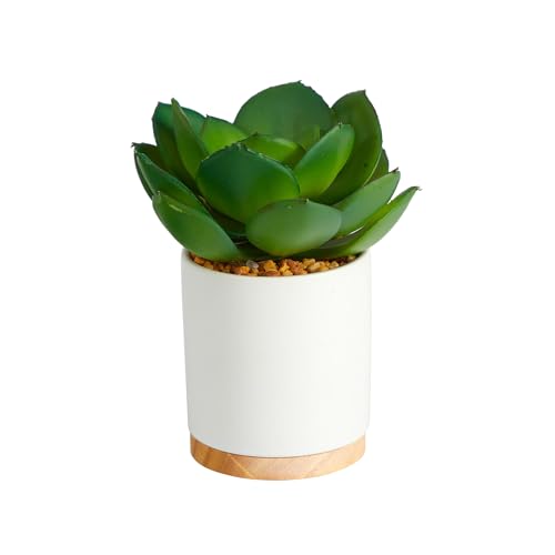 Nearly Natural 6in. Succulent Artificial Plant in White Ceramic Planter