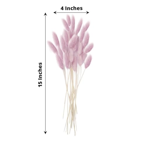 Efavormart 50 Pack 15 inch Lavender Lilac Rabbit Tail Dried Pampas Grass, Soft Bunny Tail Grass Stems for Boho Table Centerpieces, DIY Crafts and Nursery Decor - color: Lavender, size: 15"