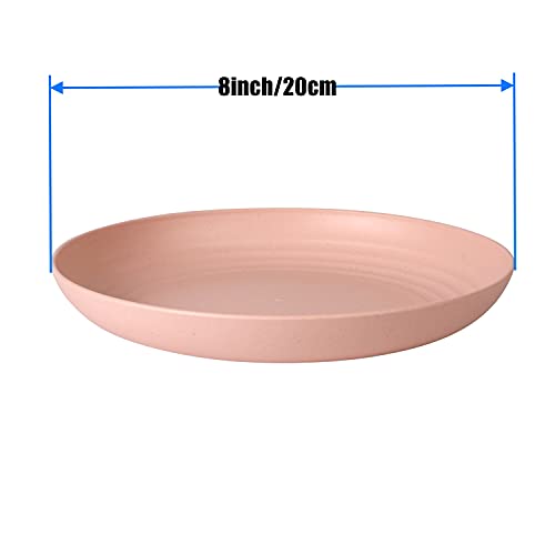 CAMBUY Wheat Straw Plates Lightweight Unbreakable Dinner Dishes Plates Set Dishwasher & Microwave Safe (Large 8 Pack 8') - color: Large Double Multicolour