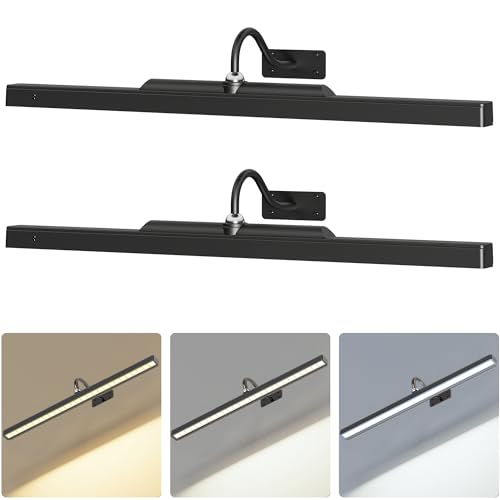 2 Pack Lights for Pictures on Wall Black - Cordless Battery Powered Wall Art Lighting with Dimmable Remote for Living Room, Bedroom & Hallway - color: Black, size: 24in-2pack