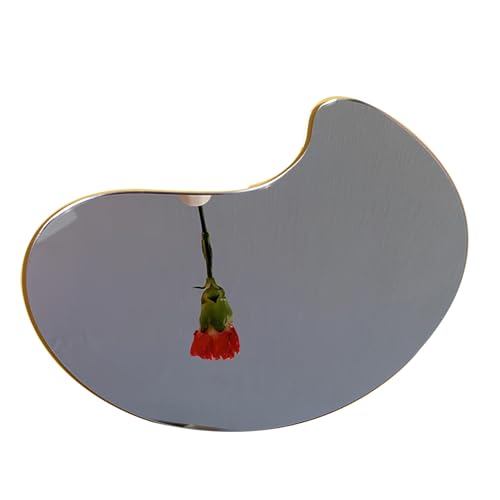 LTSRLL PMMA Mirror Tiles Photography Props Background Reflective Display Sheet Home Decor Vanity Mirror(Bean) - color: Bean