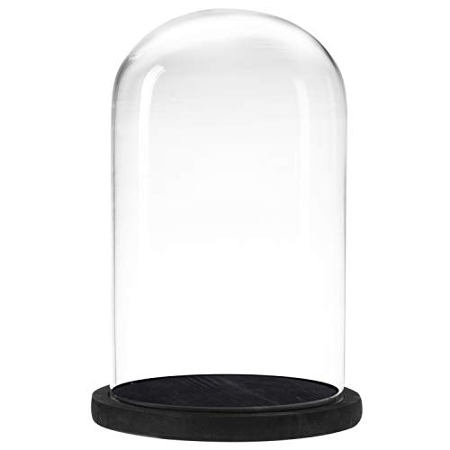 MyGift The Bell Jar Glass Cloche with Black Wood Base, 10 Inch Tall Clear Decorative Glass Dome Display for Plants, Curios, Keepsakes, Heirlooms - color: Black