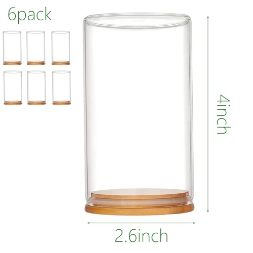6 Pack 360° Clear Dustproof Stackable Display Box for Mini Figures Jesus Miniatures Building Blocks with Wood Base