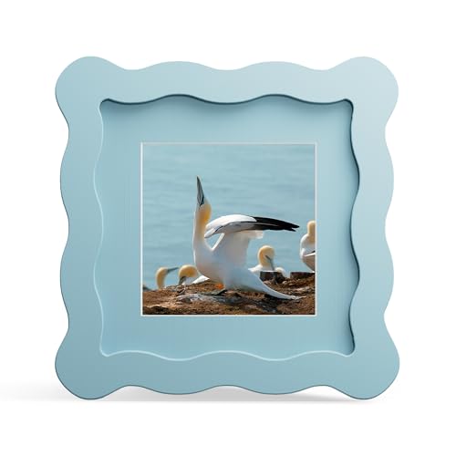 4x4 Picture Frame with Mat for 3x3, Wavy Edge Wooden Real Glass Photo Frame for Tabletop and Wall Hanging, Blue, 1 Pack - color: Blue, size: 4x4 in