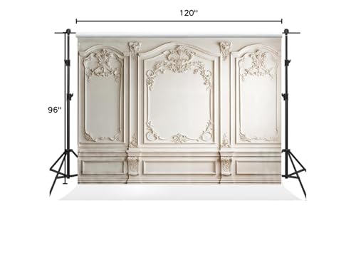 Kate 10×8ft Retro Indoor Backdrop Photography European Style Gypsum Pattern Background Classic Portrait Background Photography Studio Props Picture Video - size: 10×8ft