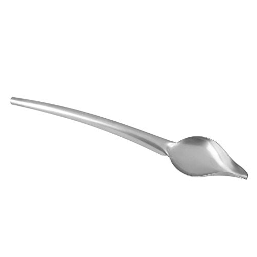 Fdit Drizzling Spoon, Stainless Steel Drizzle Spoon with Tapered Spout Drawing for Decorating Plate (L)