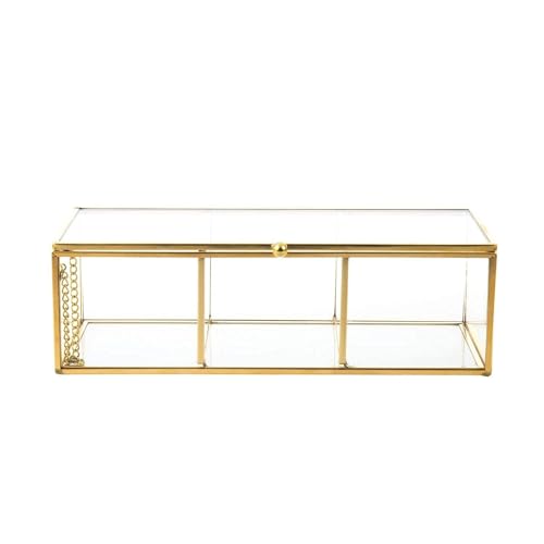Feyarl Gold Glass Tea Bags Box Sea Shell Display Organizer Cosmetics Countertop Canister Box Jar Storage Glass Jewelry Trinket Ring Earring Box Container for Girl Women Gift