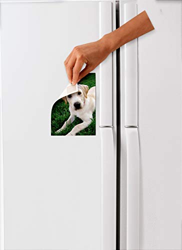 Scotch Removable Double-Sided Mounting Squares, 16 Pre-Cut Foam Squares, 0.7 in. x 0.7 in., Removes Easily Without Leaving Any Residue, Photo-Safe, Mess-Free Application (108AMS-SQ-16) - size: 64 Squares