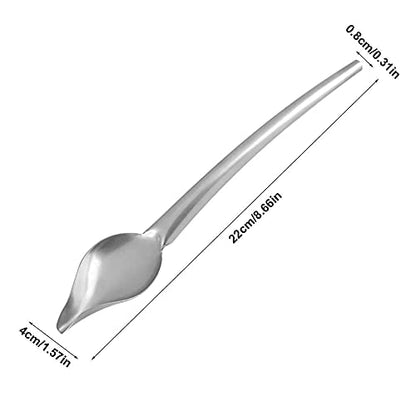 Fdit Drizzling Spoon, Stainless Steel Drizzle Spoon with Tapered Spout Drawing for Decorating Plate (L)
