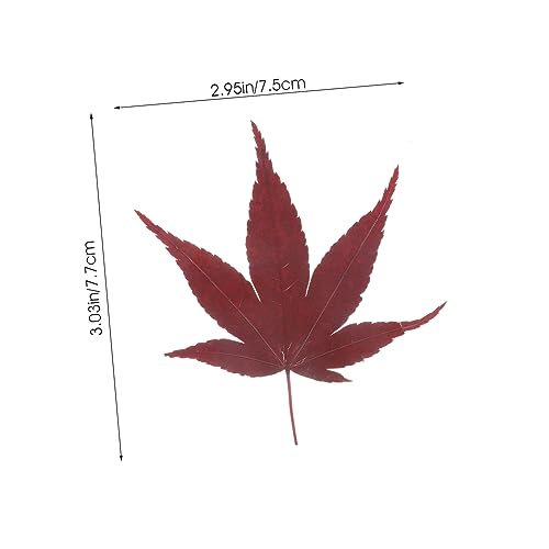 Cabilock 30pcs Natural Maple Leaf Food Decor for Sushi and Sashimi Plating Vacuum Preserved Japanese Style Garnish for Elegant Food Presentation and Photography