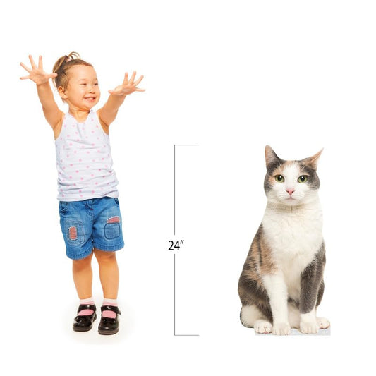 CAT - Grey Orange - Life Size Cardboard Cutout Standup People with Support Standee | Animals - - color: Cat - Grey Orange
