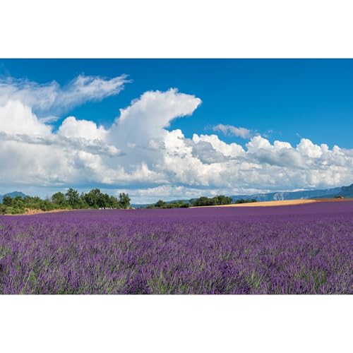 Lavender Fields Backdrop Provence Mountain Valley Lavender Field Photography Background Summer Alps Cloudy Blue Sky Nature Landscape Backdrop France Travel Hiking Party Background Props 5x3ft - color: Purple, size: 5x3ft