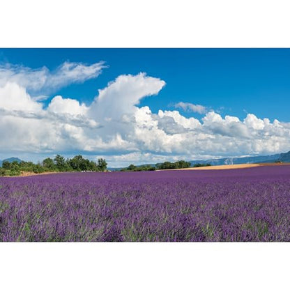 Lavender Fields Backdrop Provence Mountain Valley Lavender Field Photography Background Summer Alps Cloudy Blue Sky Nature Landscape Backdrop France Travel Hiking Party Background Props 5x3ft - color: Purple, size: 5x3ft