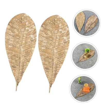 COLLBATH Dried Leaf Sushi Tray Decor 20Pcs Seafood Display Serving Plate Unique Sashimi Background Leaf Embellishments for Food Photography for Restaurants and BBQ