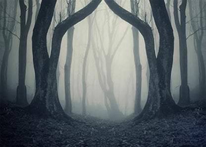 BELECO 10x8ft Fabric Dark Misty Woods Halloween Spooky Forest Backdrop for Photography Magic Grove Vampire Evil Trees Background Witch Wizard Sorcerer Ghost Theme Party Decorations Banner Photo Props - size: 10x8FT
