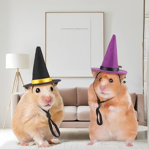 Reptile Witch Costume for Lizard & Chameleon - Adjustable Hat & Tutu Skirt, Festive Reptile Cosplay Outfit for Photo Props Halloween Christmas-Purple Hat - color: Witch-Purple Hat