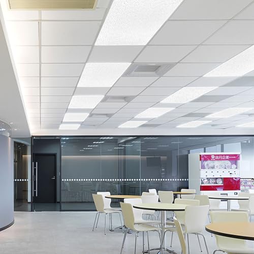 Pushglossy 4 Pack 22.5" x 46.5"x0.11" Fluorescent Light Cover Clear Acrylic Ceiling Light Prismatic Flat Panels Sheet Drop Overhead Fixtures Diffuser Replacement for Office Home Commercial Hospital