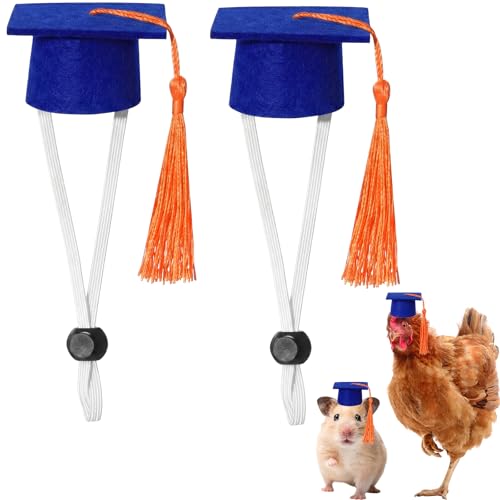 Eccliy 2 Pcs Pet Graduation Caps Mini Bachelor Hats with Tassel for Small Animal Guinea Pigs Hedgehog Bird Turtles Hamster Photo Props Graduation Festival Holiday Party Accessory(Blue Orange) - color: Blue Orange