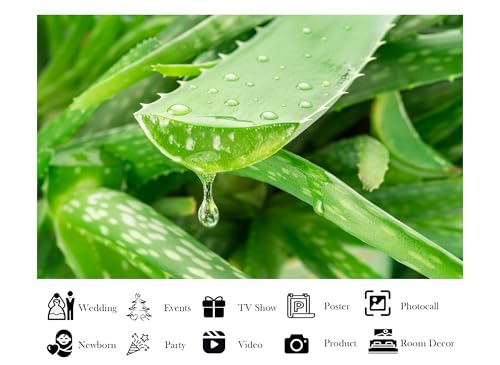 10x5ft Fabric Fresh Aloe Vera Leaf Gel Drop Backdrop Hydrating Plant Skincare Photography Background Wellness Wall Decor Party Decorations Tapestry Photo Shoot Studio Props - size: 10x5ft